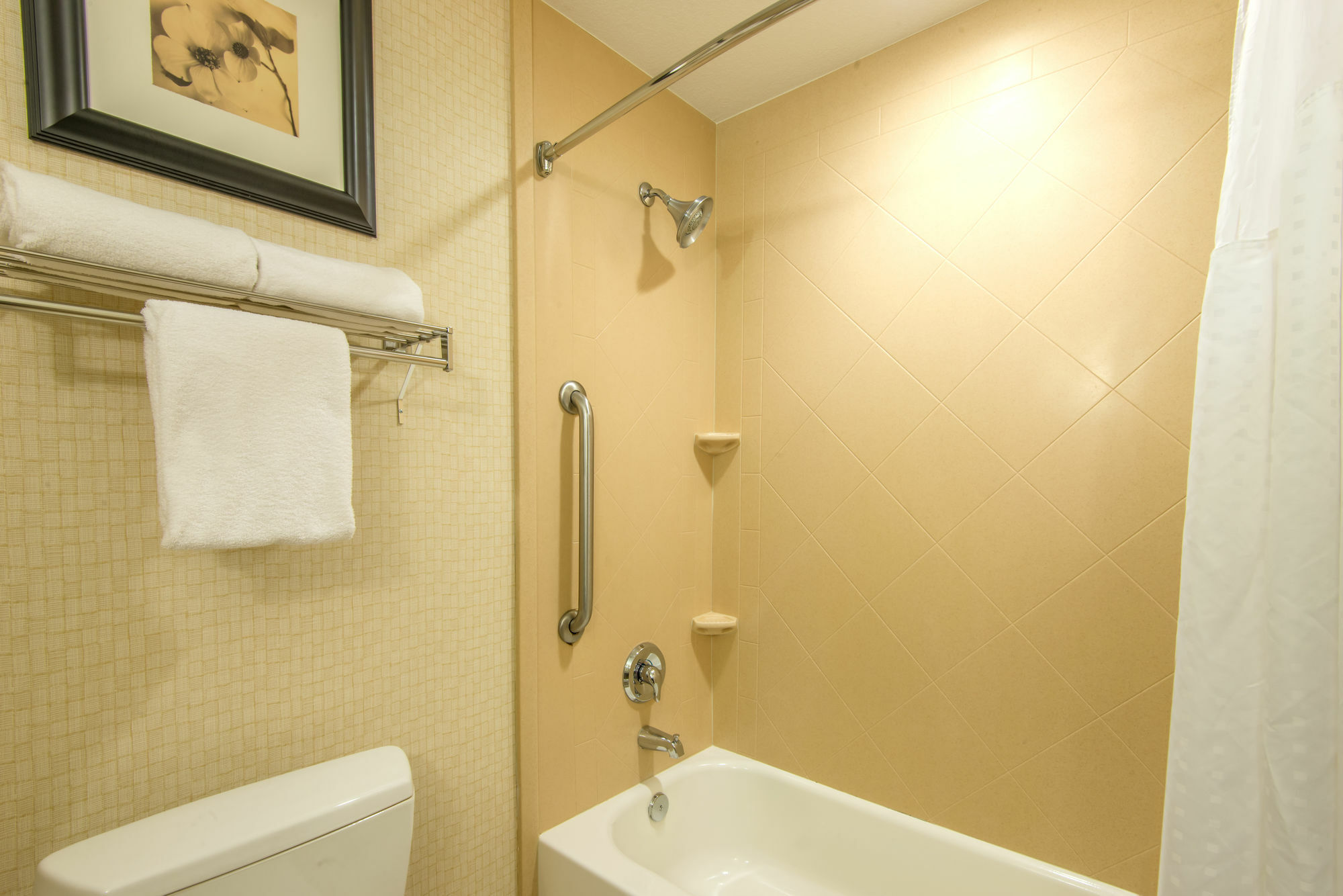 Holiday Inn Express & Suites Phoenix Glendale Dist By Ihg Ngoại thất bức ảnh